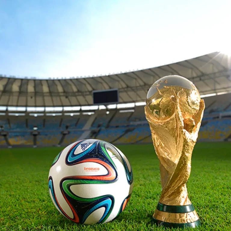 郑钦文成绩,攀升至第五,态势向好,188bet金宝博,188bet金宝博体育,188Bet,188bet金宝博体育官网