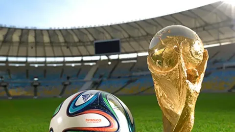 郑钦文成绩攀升至第五位：态势向好，胜利曙光初现——央视新闻客户端讯